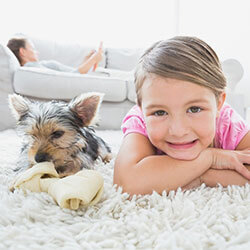Pet Stain & Odor Removal